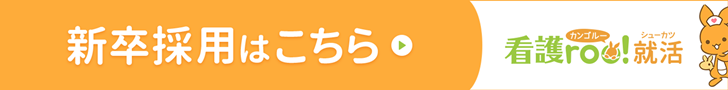 新卒採用はこちら